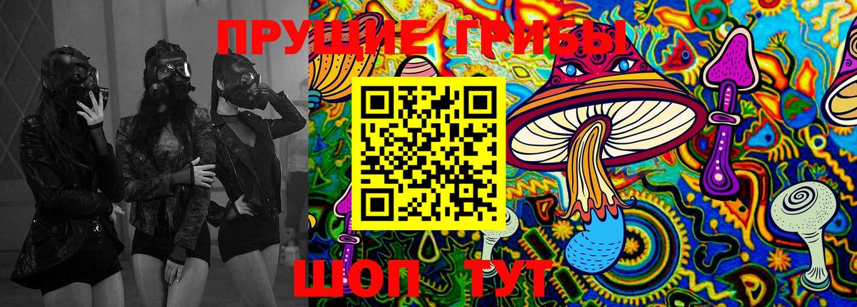 Галлюциногенные грибы мицелий  Вход с VPN  Галлюциногенные грибы Magic Shrooms  Дагестанские Огни 
